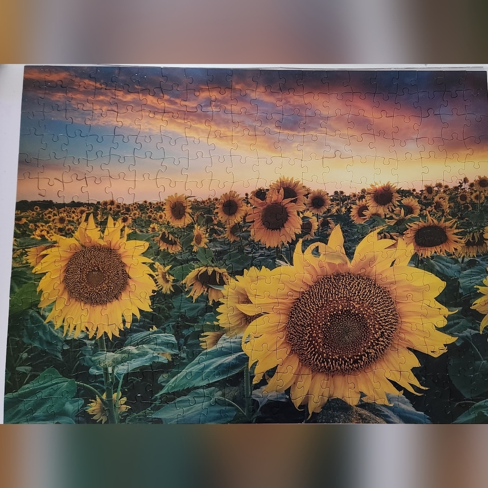 Sunflower Field Jigsaw Puzzle